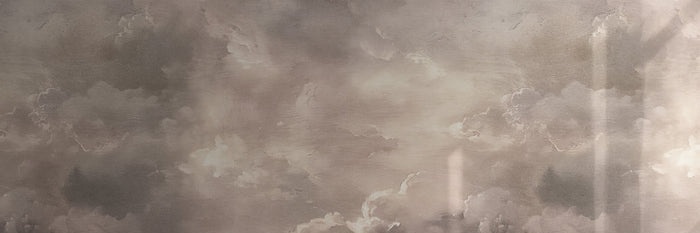 little soup that wants 🍪 banner