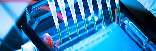 JSC_bacterio's profile banner image