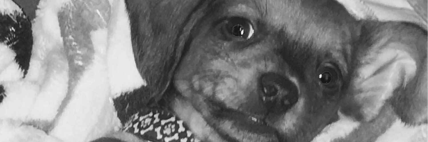 sharp_witt's profile banner image