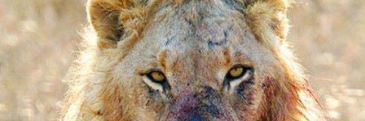uptop_00's profile banner image
