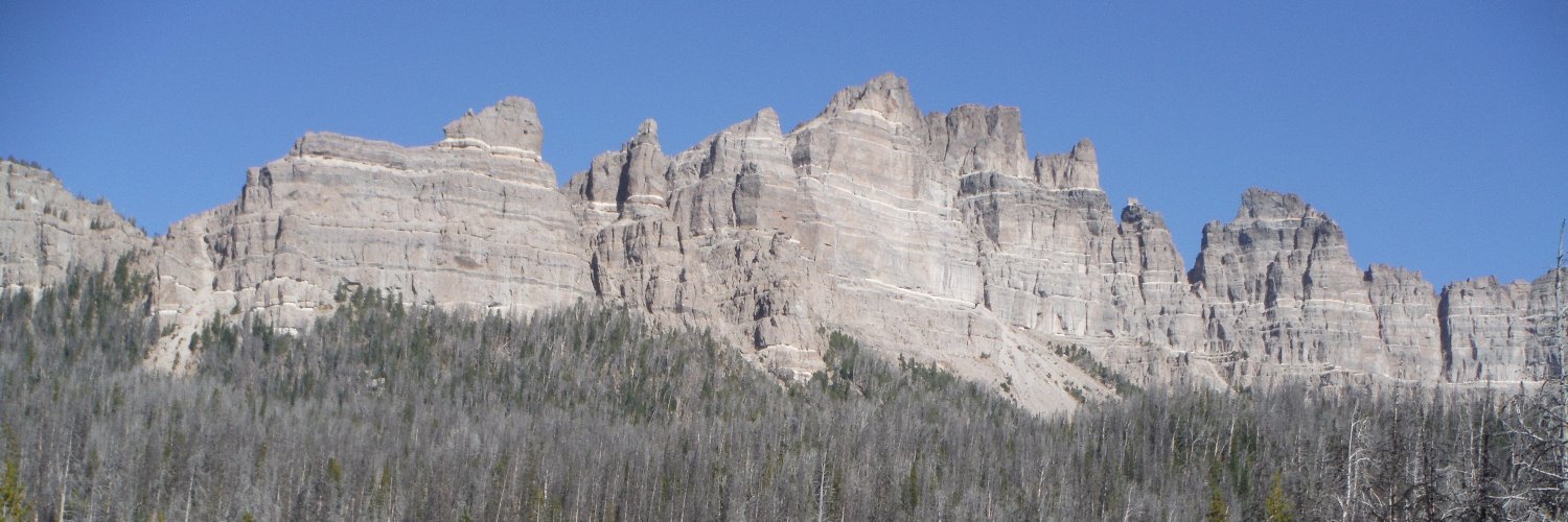 Preston Sumner banner