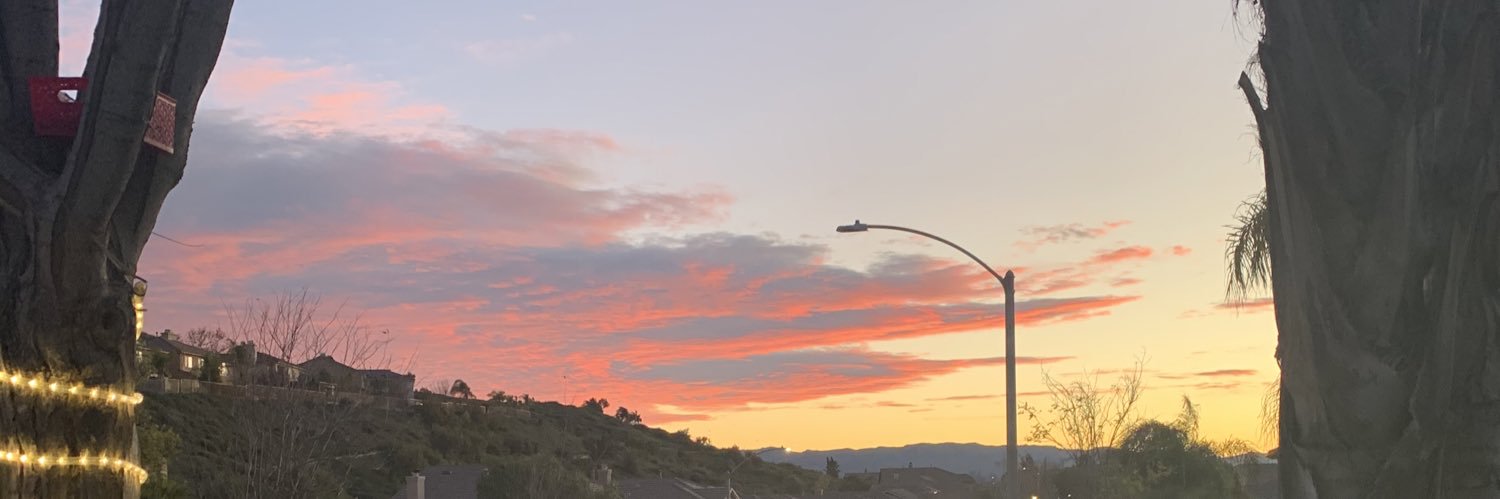 mommaruys's profile banner image