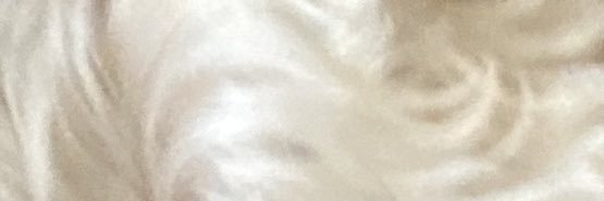die_goxs's profile banner image