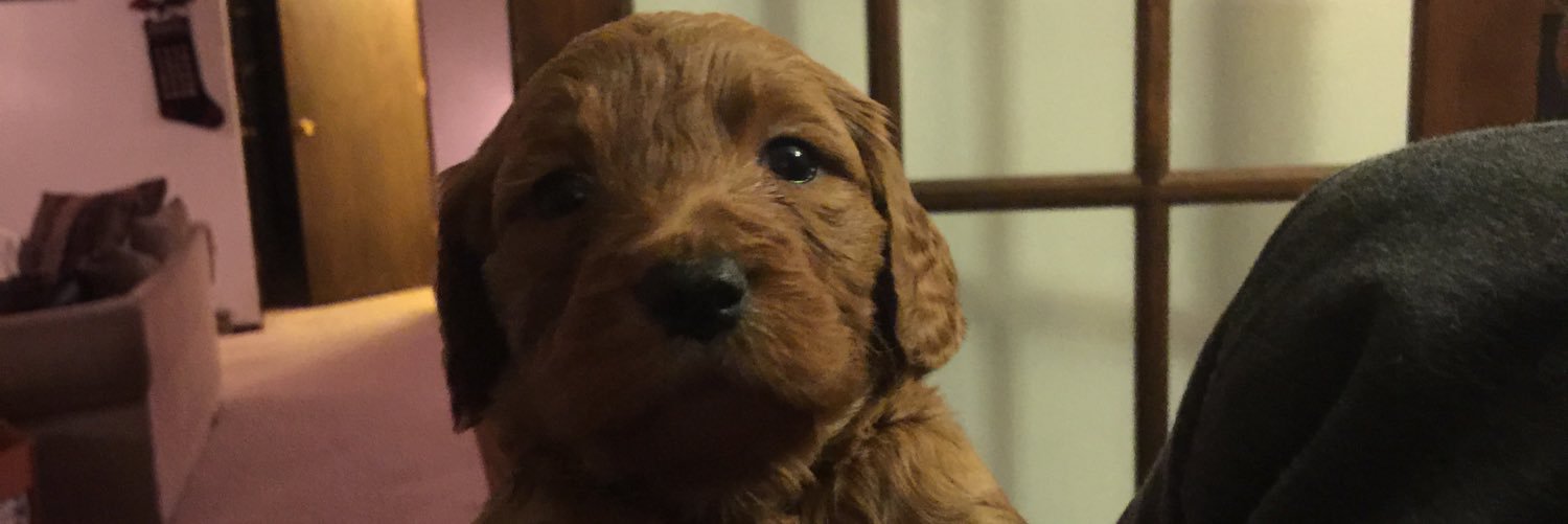 SMFoertsch's profile banner image