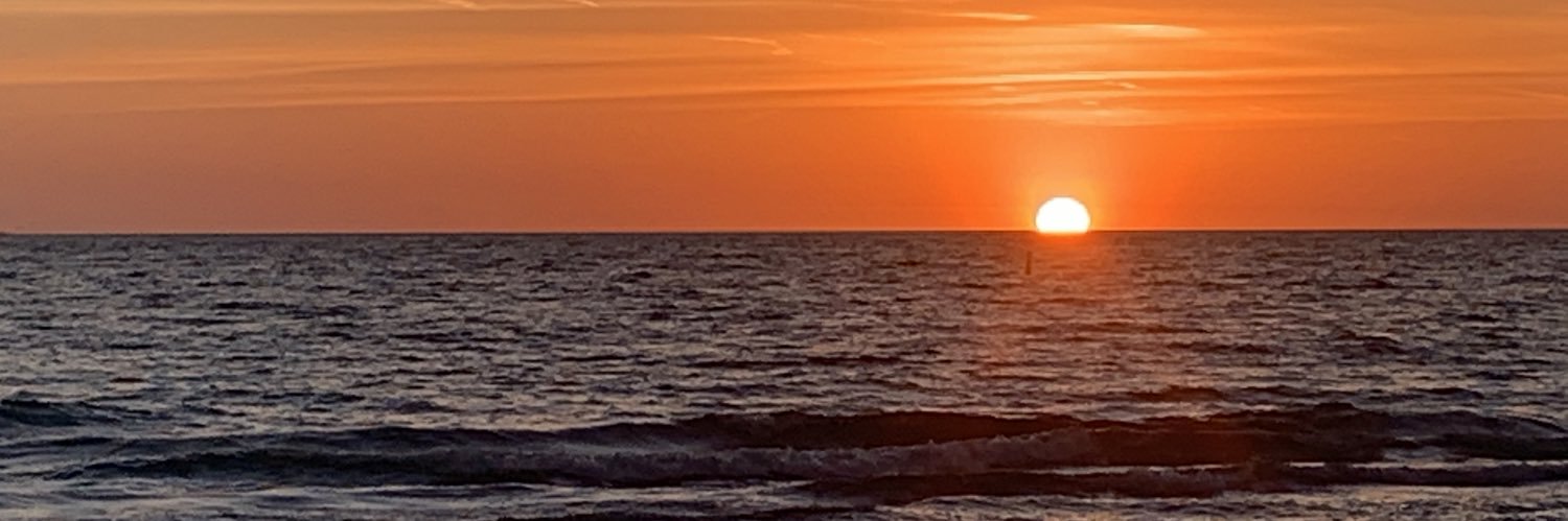 anna_rawls's profile banner image
