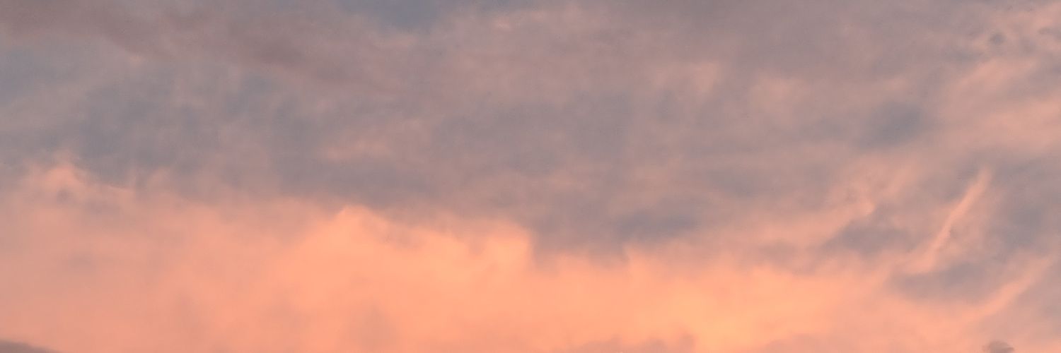 rociopeeeee's profile banner image