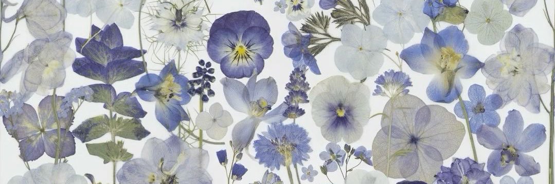 sofiparisee's profile banner image