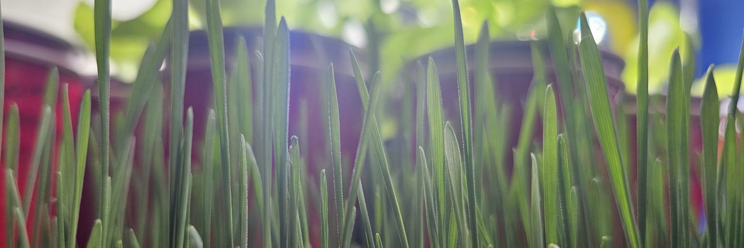 GreenEarthPas's profile banner image