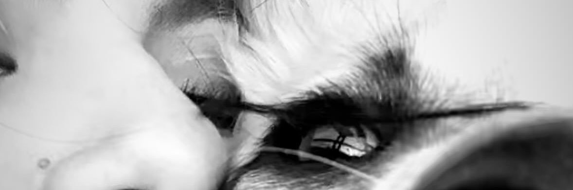 DeandaSofia's profile banner image