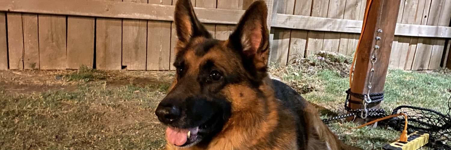 RivaDerek's profile banner image