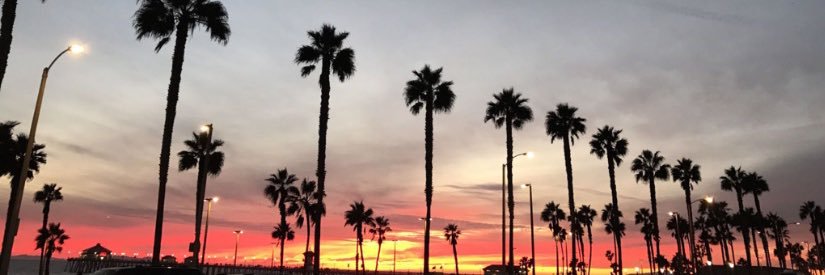 Papimatt69's profile banner image