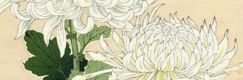 g3ngrl's profile banner image