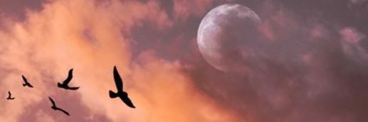 FowamFilms's profile banner image