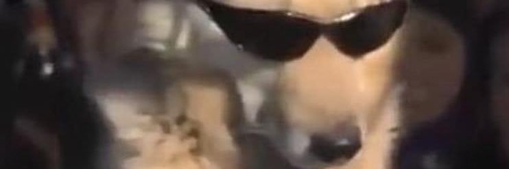 solar_josh's profile banner image