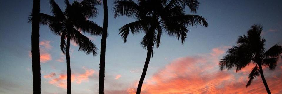 paulakeeling's profile banner image