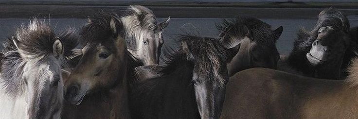 04U banner
