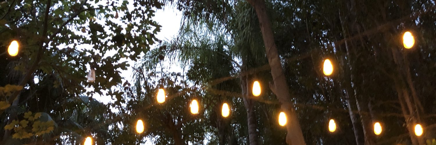 sabrinaagunn's profile banner image