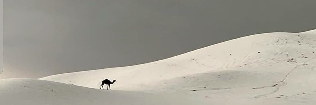 Awidah1's profile banner image