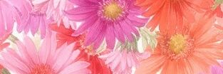 _ta_gu_'s profile banner image