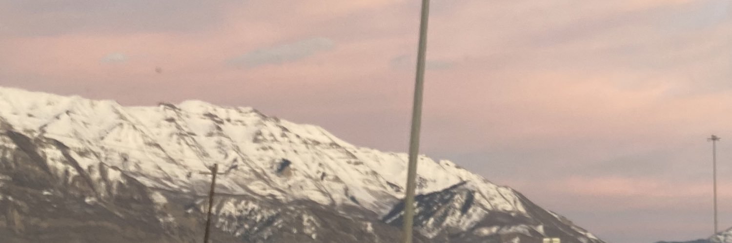 paigybug's profile banner image