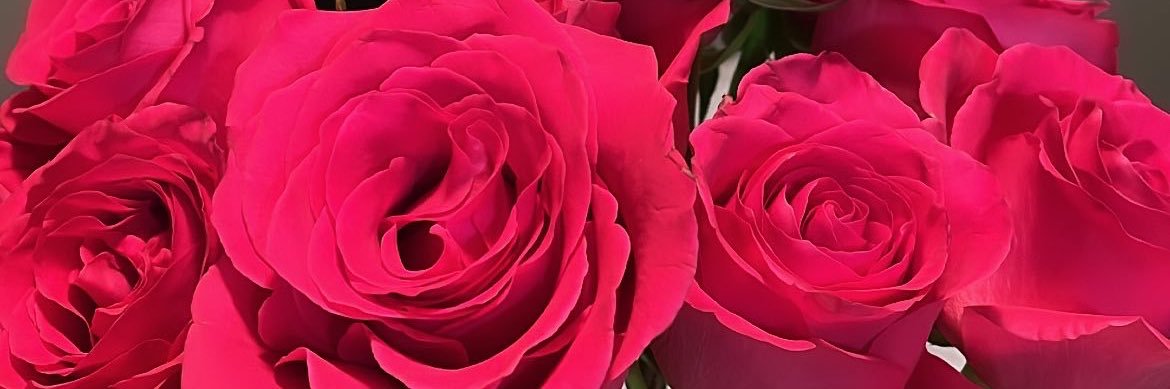 prettyslim56's profile banner image