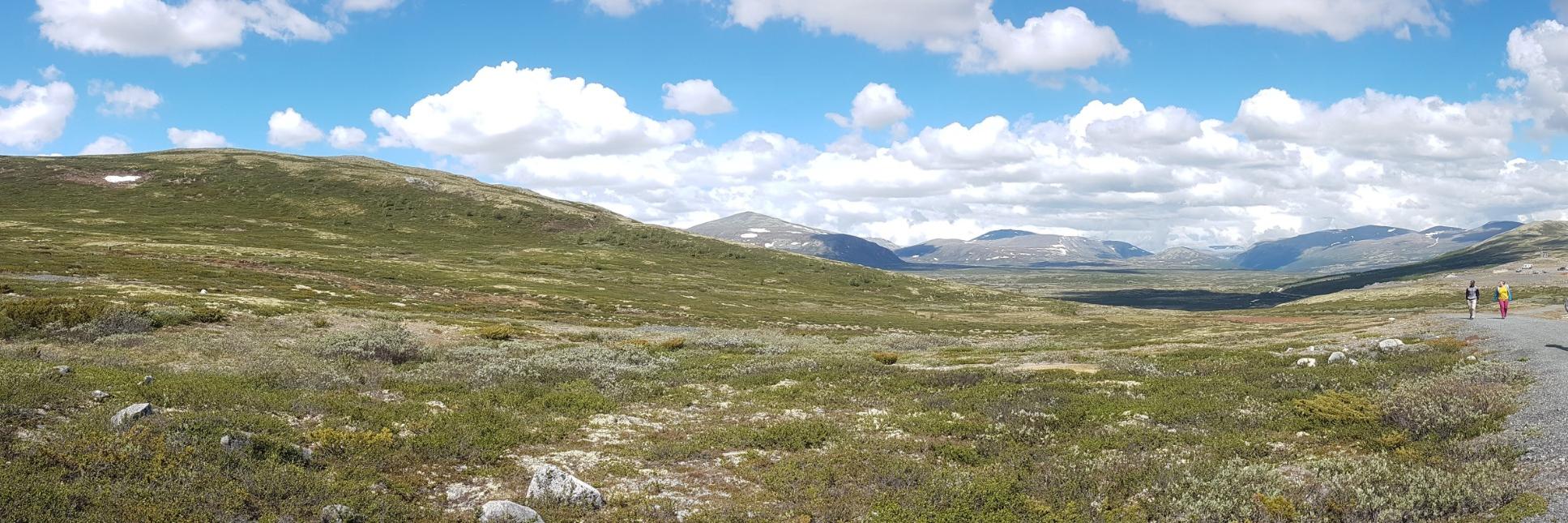 Kristen Fernandes banner