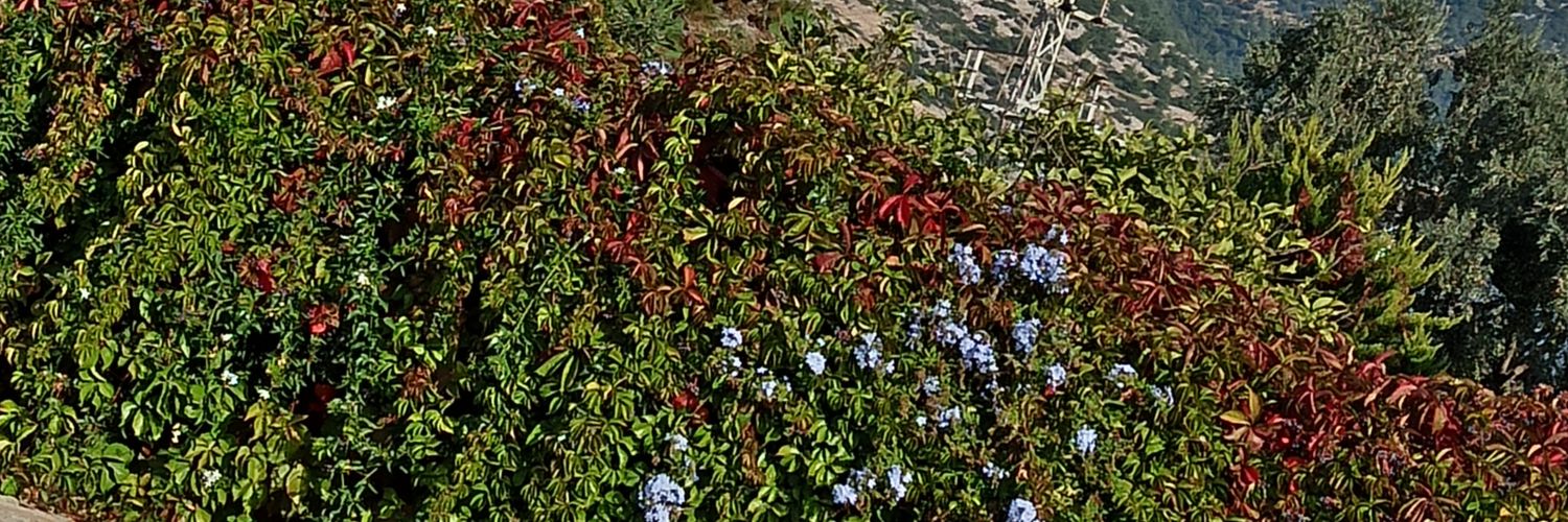 haklisinoz's profile banner image