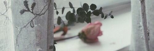 henda995's profile banner image