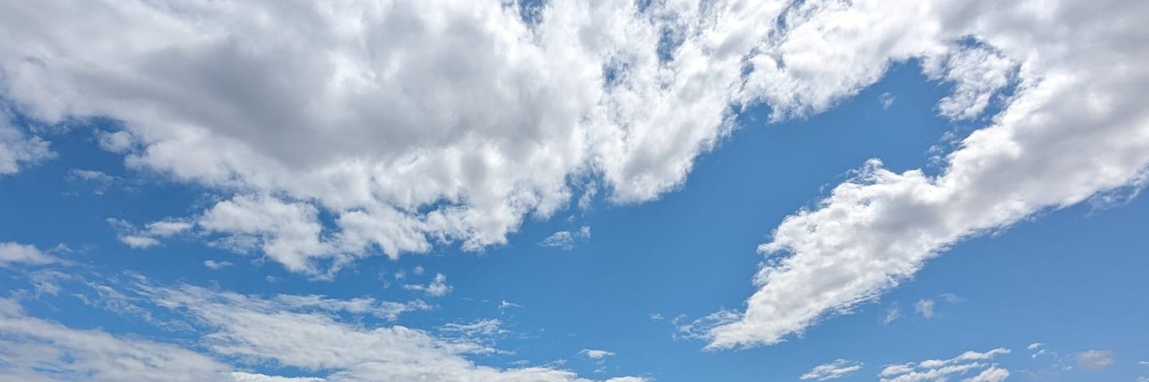 Daniele Nazzari banner