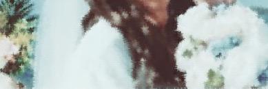 LysHst's profile banner image