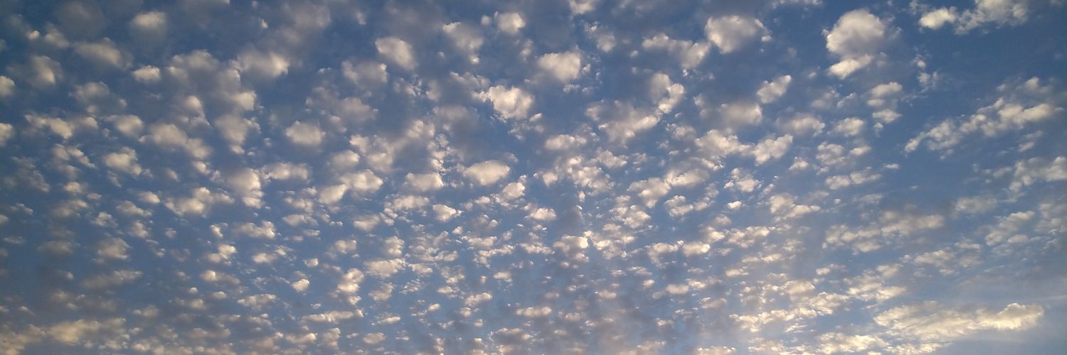 _may9191's profile banner image