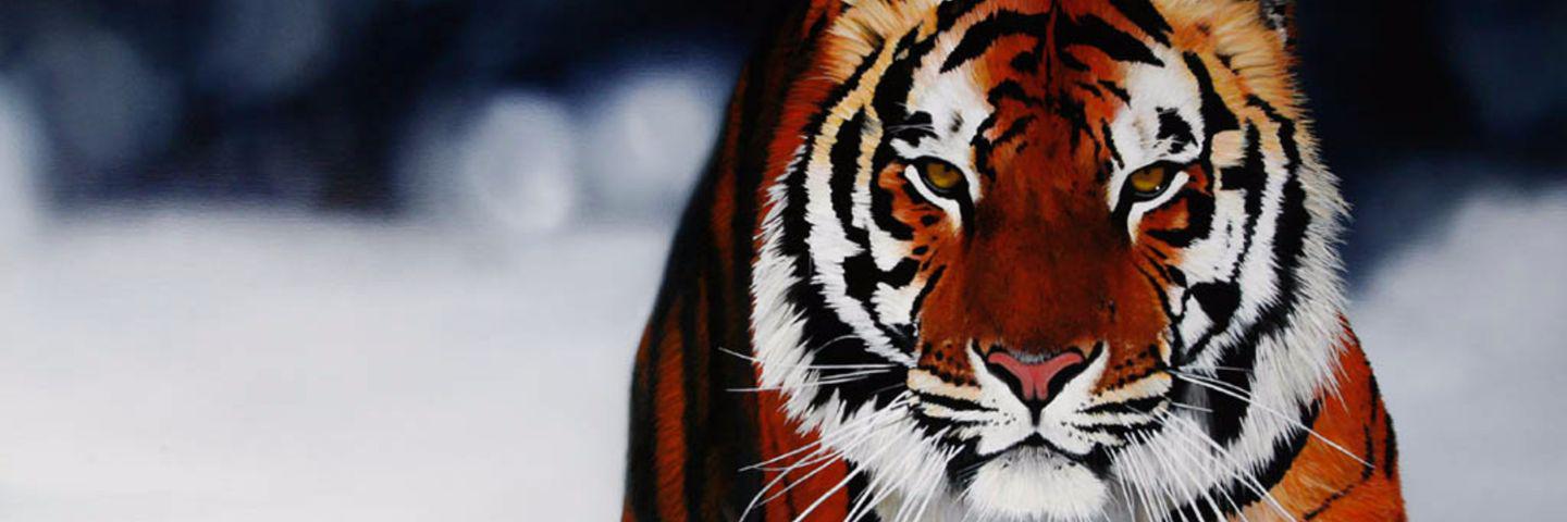 ifspudannual's profile banner image