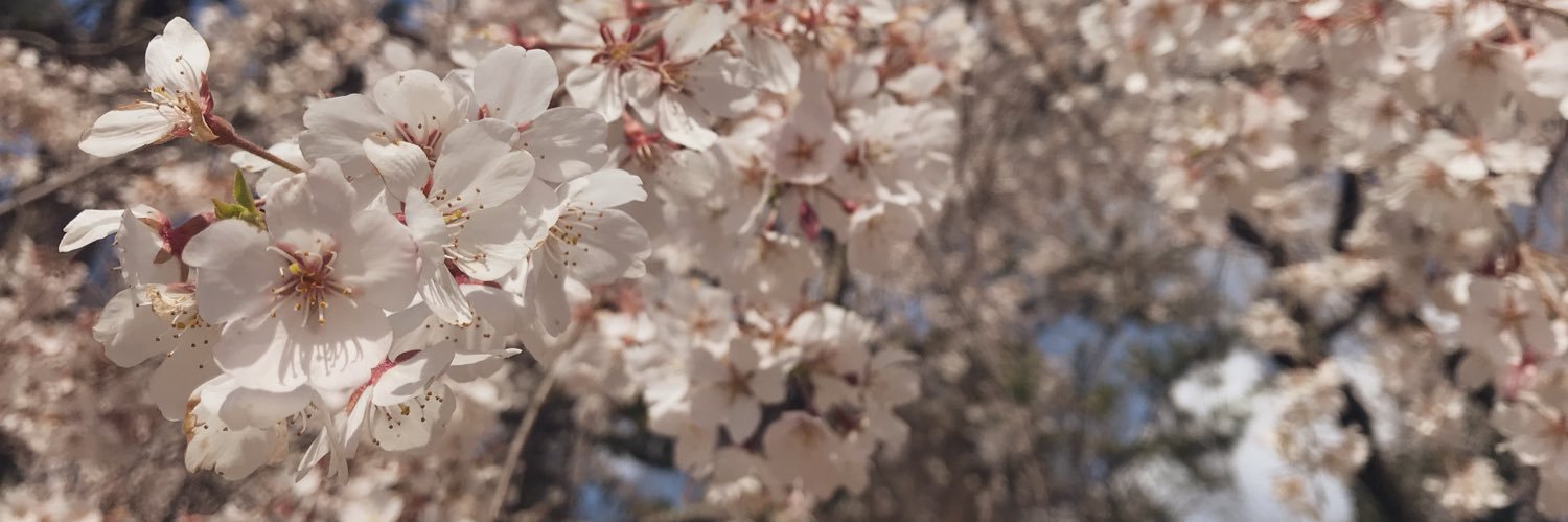 real_winter_m's profile banner image