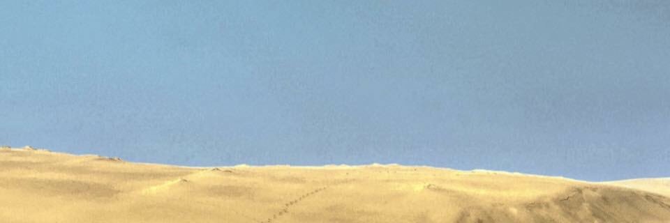 fislandsound's profile banner image