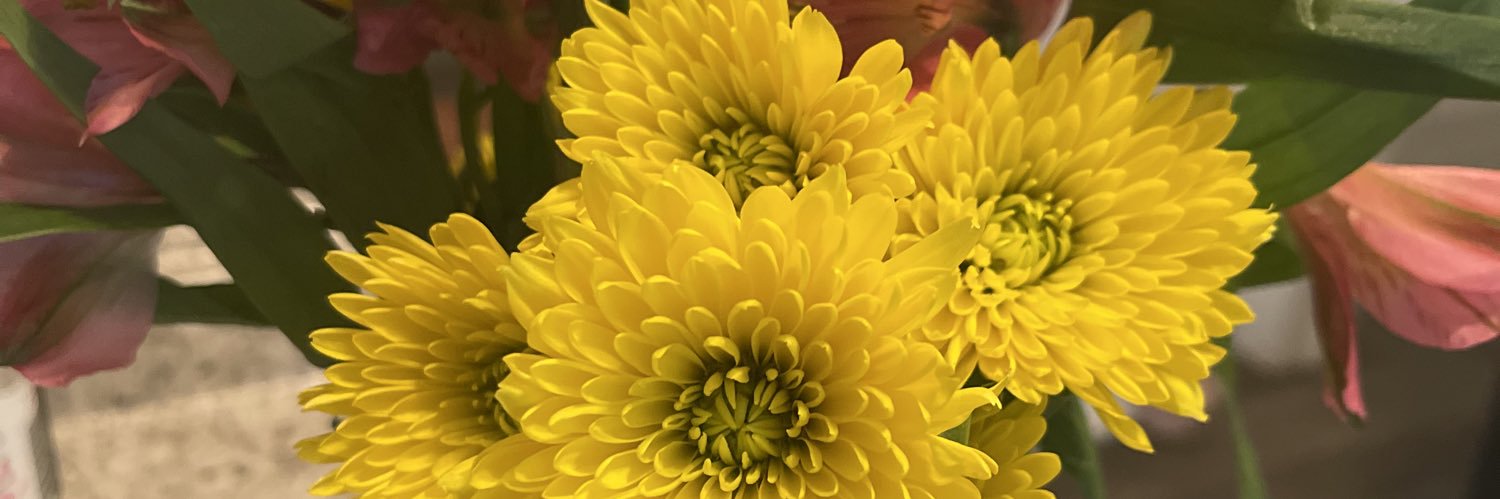 CarlieStoebner's profile banner image