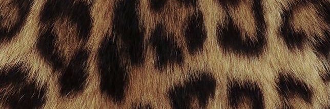 yulidiouf's profile banner image