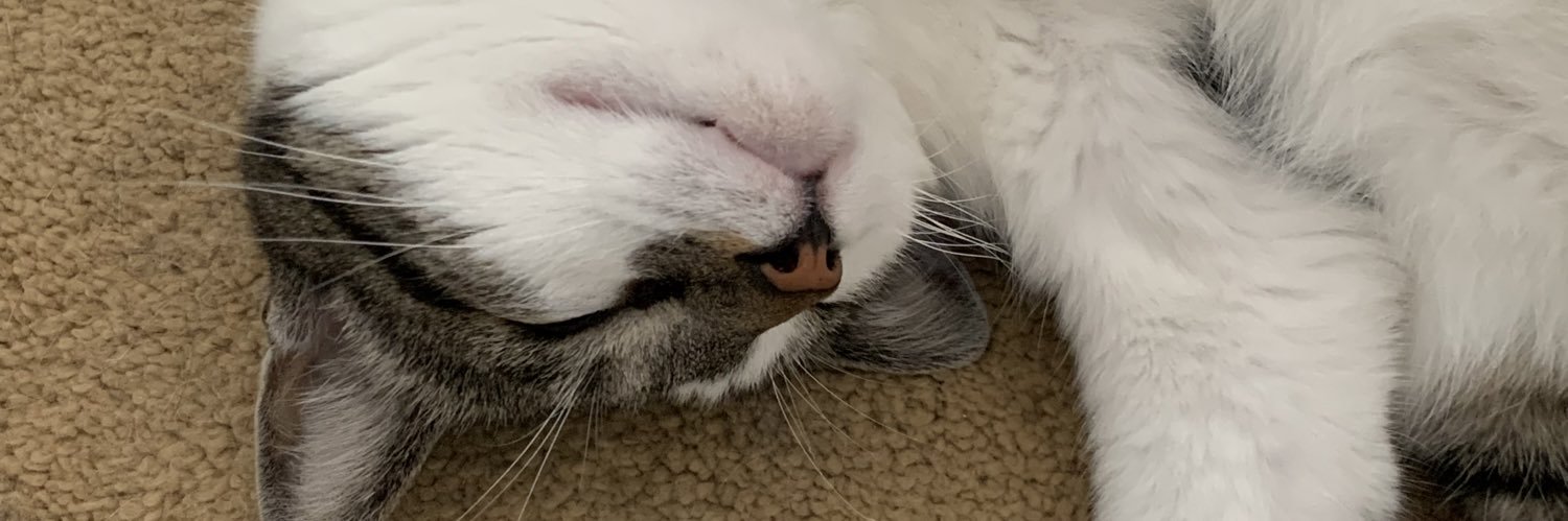 loussiii's profile banner image
