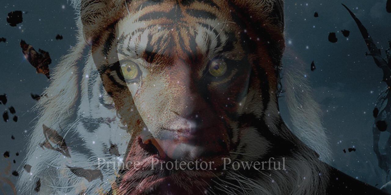 haviIIiards's profile banner image