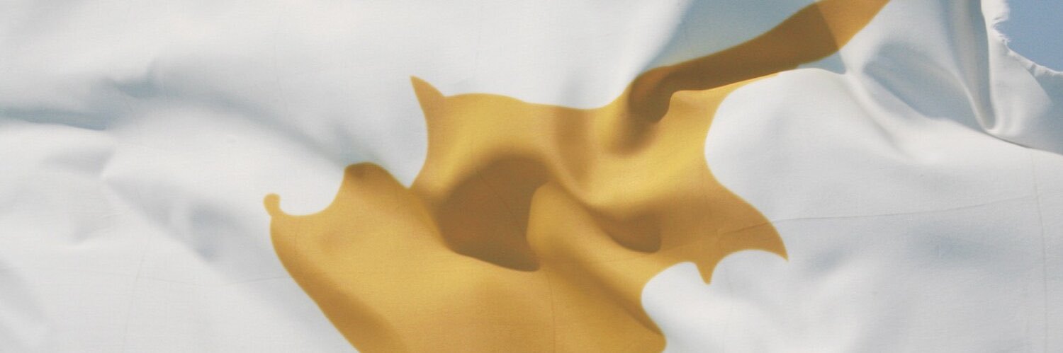 Lobby for Cyprus banner