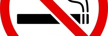AylaMayo's profile banner image