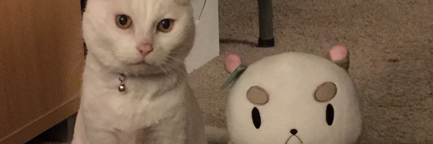 SpikeTheNene's profile banner image