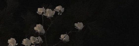 not_riqi's profile banner image