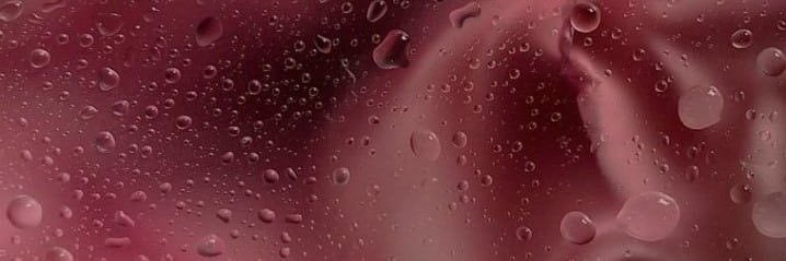 171wimji's profile banner image