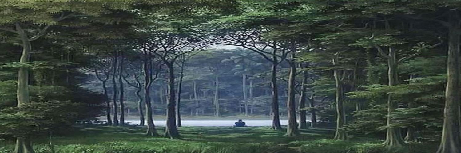 ArtMagus's profile banner image