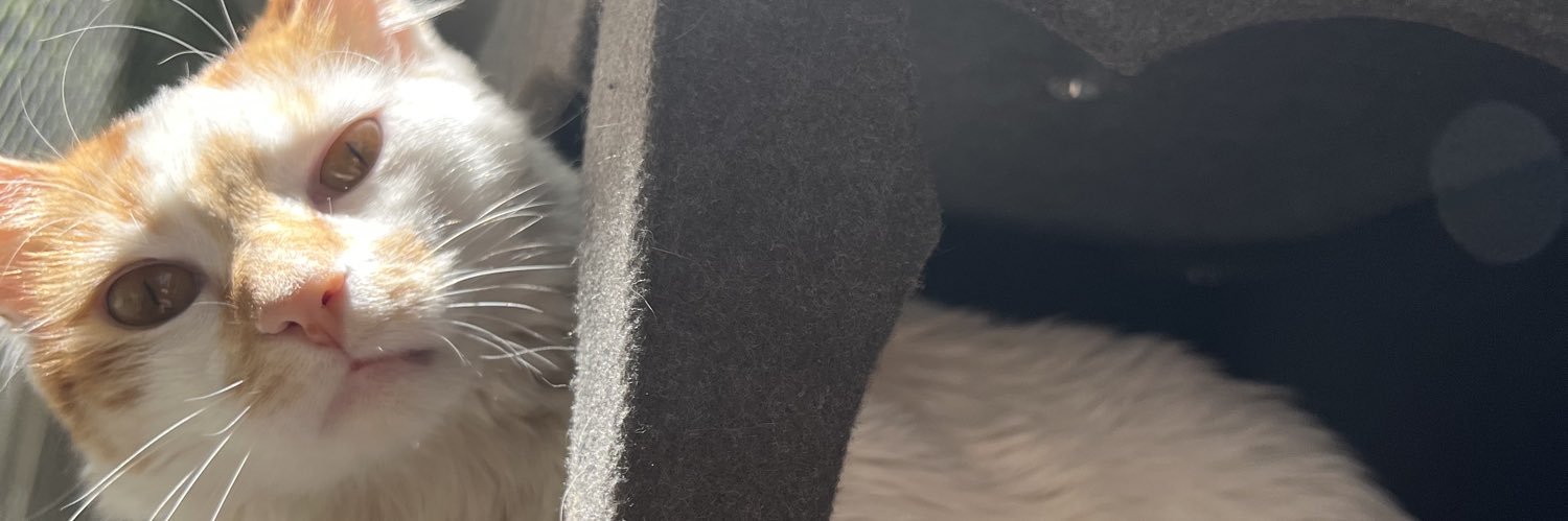 tosofito's profile banner image