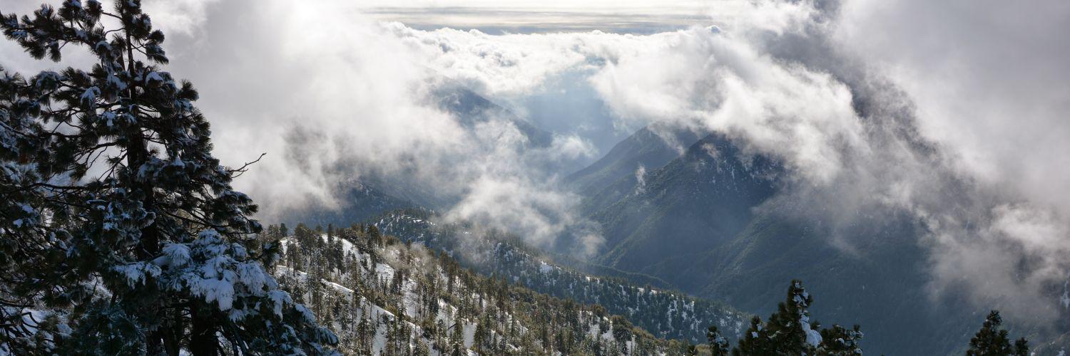 Carmichael Castaños banner