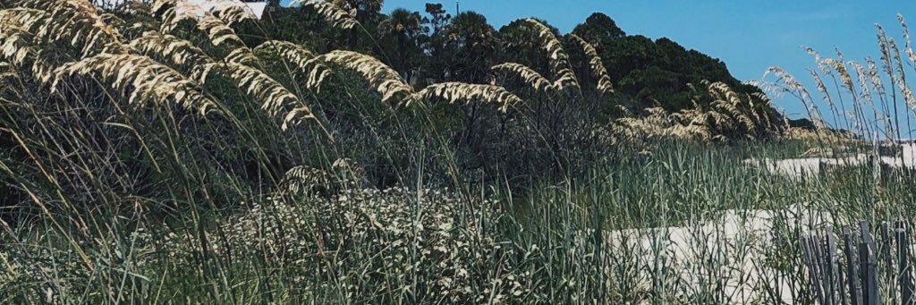 kealysullivan24's profile banner image