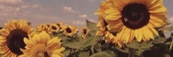 aammberlee's profile banner image