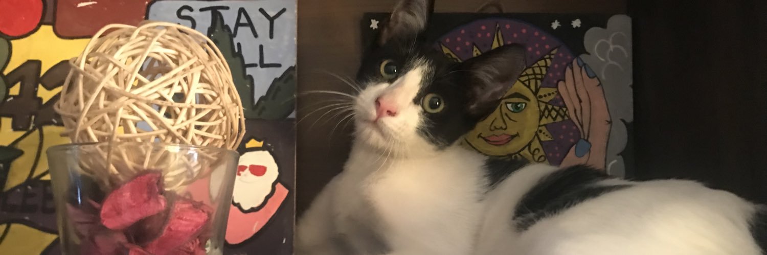 solacap's profile banner image