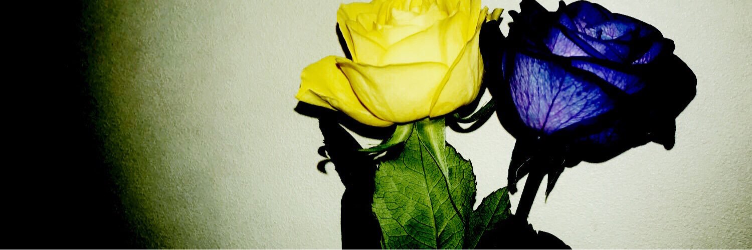 S12krnsk's profile banner image